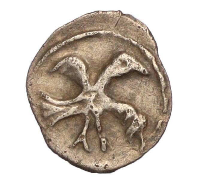 Монета Полушка 1538-1547 года Иван IV «Грозный» (Артикул: K12-04122) — Фото №1