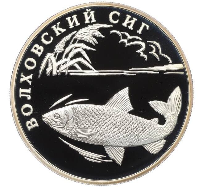 Монета 1 рубль 2005 года СПМД «Красная книга — Волховский сиг» (Артикул K12-04663)