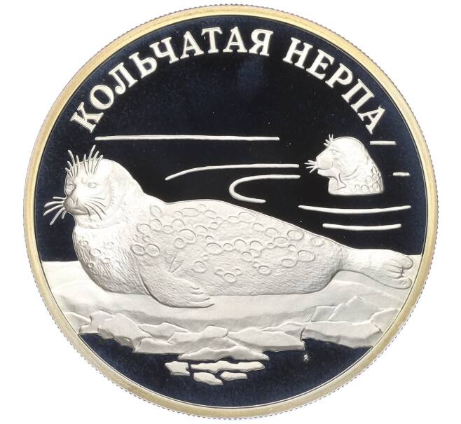 Монета 1 рубль 2007 года СПМД «Красная книга — Кольчатая нерпа» (Артикул K12-04664)