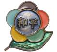 Знак ММД «Всемирный фестиваль студентов и молодежи 1957 — Китай» (Артикул K12-04691)