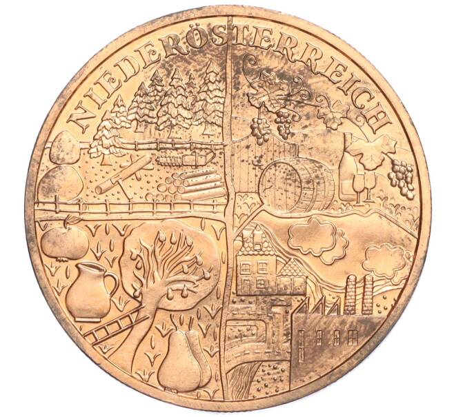 Монета 10 евро 2013 года Австрия «Земли Австрии — Нижняя Австрия» (Артикул K12-04874)