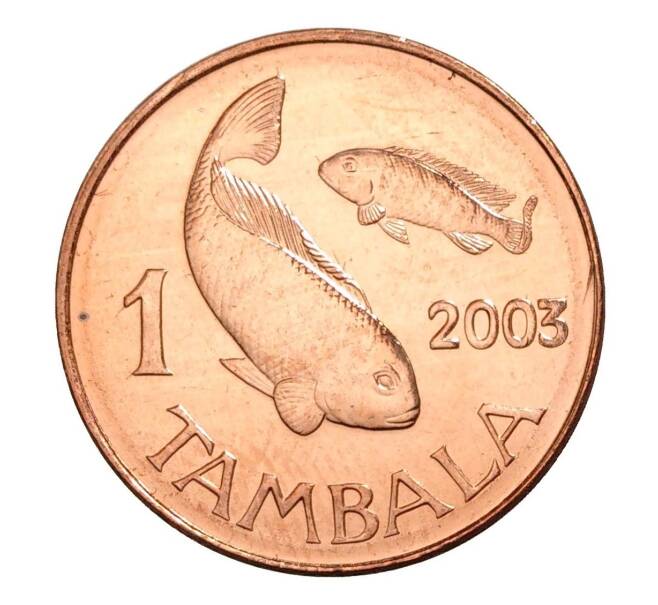 1 тамбала 2003 года Малави