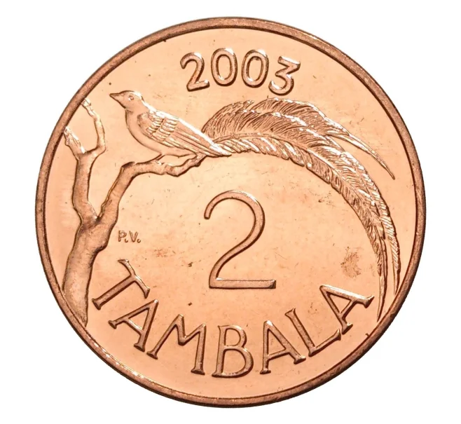 Монета 2 тамбала 2003 года Малави (Артикул M2-6589)