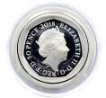 Монета 50 пенсов 2018 года Великобритания «150 лет со дня рождения Беатрис Поттер — Кролик Питер» (Артикул M2-73785)