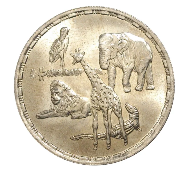 5 фунтов 1991 года Египет «Национальный зоопарк»