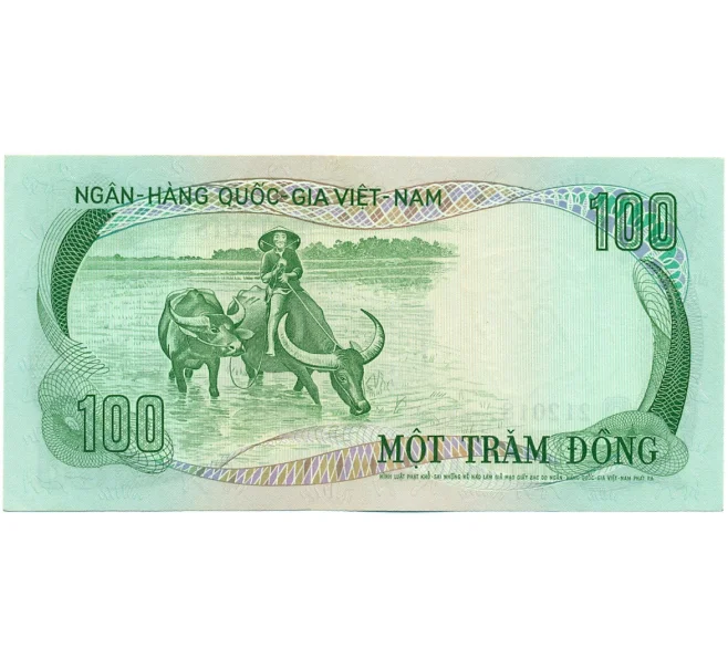 Банкнота 100 донг 1972 года Южный Вьетнам (Артикул K12-07310)