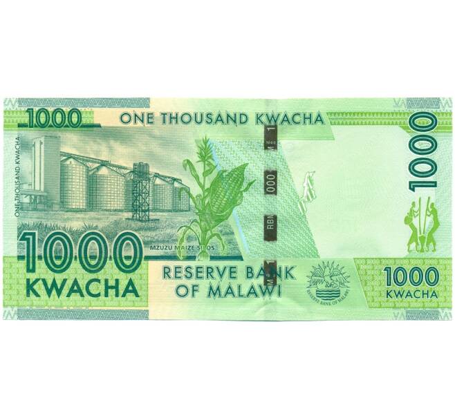 Банкнота 1000 квач 2012 года Малави (Артикул: K12-10083) — Фото №2