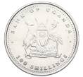 Монета 100 шиллингов 2004 года Уганда «Обезьяны» (Артикул T11-07437)