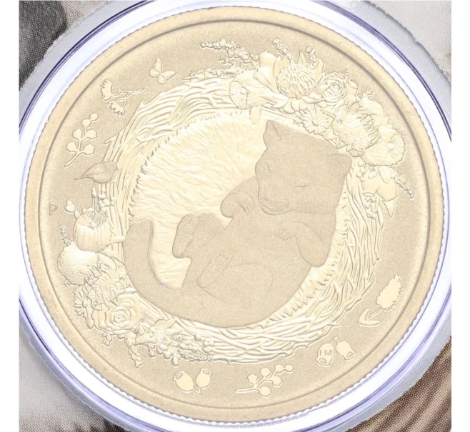 Монета 1 доллар 2021 года Австралия «Спящие детеныши животных — Тасманийский дьявол» (в конверте) (Артикул M2-74178)