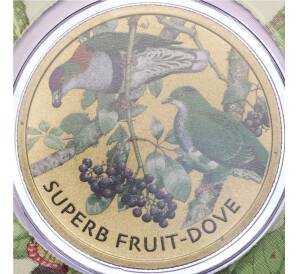 1 доллар 2021 года Тувалу «Великолепный пестрый голубь» (в конверте с почтовой маркой) — Фото №1