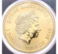 Монета 1 доллар 2018 года Тувалу «Тюлень-крабоед» (в конверте с почтовой маркой) (Артикул M2-74180)