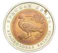 Монета 10 рублей 1992 года ЛМД «Красная книга — Краснозобая казарка» (Артикул K12-12886)
