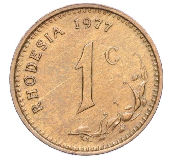 Монета 1 цент 1977 года Родезия (Артикул K12-15173)