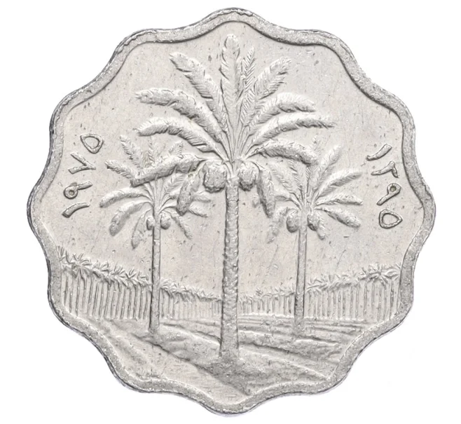 Монета 5 филсов 1975 года Ирак (Артикул K12-15734)