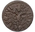 Монета Полушка 1705 года (Артикул K12-15537)