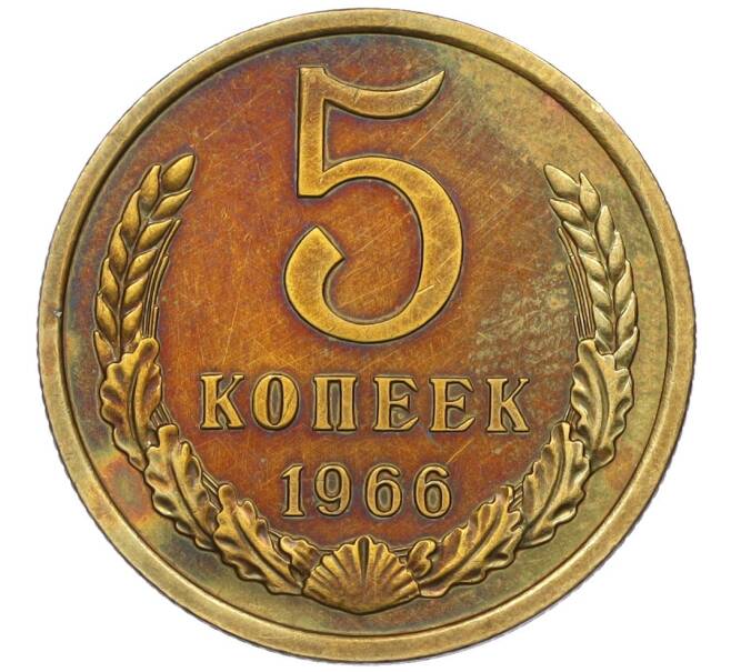 Монета 5 копеек 1966 года (Артикул: K12-16295) — Фото №1