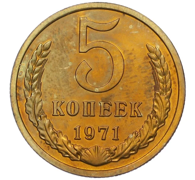 Монета 5 копеек 1971 года (Артикул K12-16300)