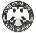 Монета 1 рубль 1993 года ЛМД «Красная книга — Амурский тигр» (Артикул T11-07911)