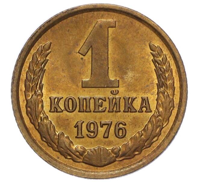 Монета 1 копейка 1976 года (Артикул K12-16255)