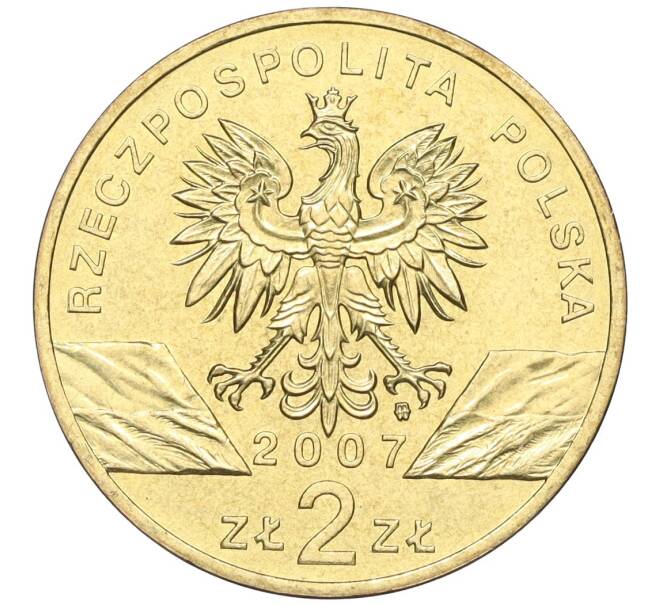 Монета 2 злотых 2007 года Польша «Всемирная природа — Длинномордый тюлень» (Артикул K12-16455)