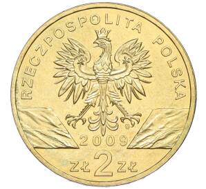 2 злотых 2009 года Польша « Всемирная природа — Зеленая ящерица» — Фото №2