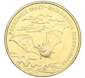 2 злотых 2010 года Польша «Всемирная природа — Летучая мышь» — Фото №1