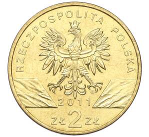 2 злотых 2011 года Польша «Всемирная природа» — Фото №2