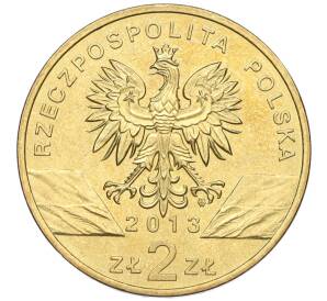 2 злотых 2013 года Польша «Всемирная природа — Зубр» — Фото №2
