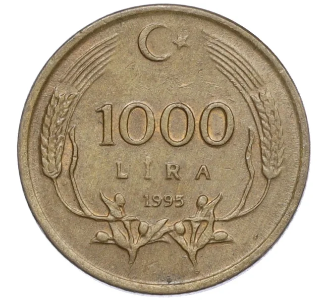 Монета 1000 лир 1995 года Турция (Артикул K12-16673)