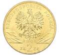 Монета 2 злотых 2005 года Польша «Всемирная природа — Филин» (Артикул K12-16886)