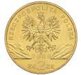 Монета 2 злотых 2009 года Польша «Всемирная природа — Зеленая ящерица» (Артикул K12-16981)