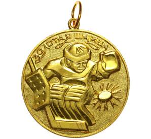Медаль «Золотая шайба — Рязанская область (Финал)»