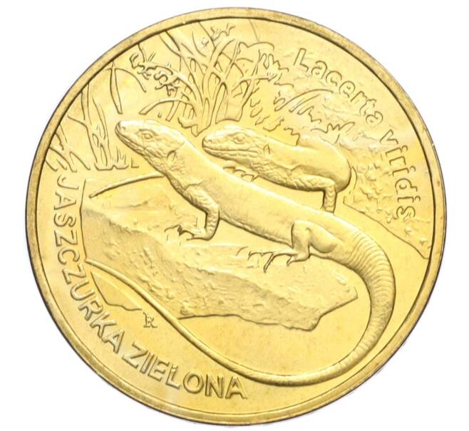 Монета 2 злотых 2009 года Польша «Всемирная природа — Зеленая ящерица» (Артикул K12-17613)