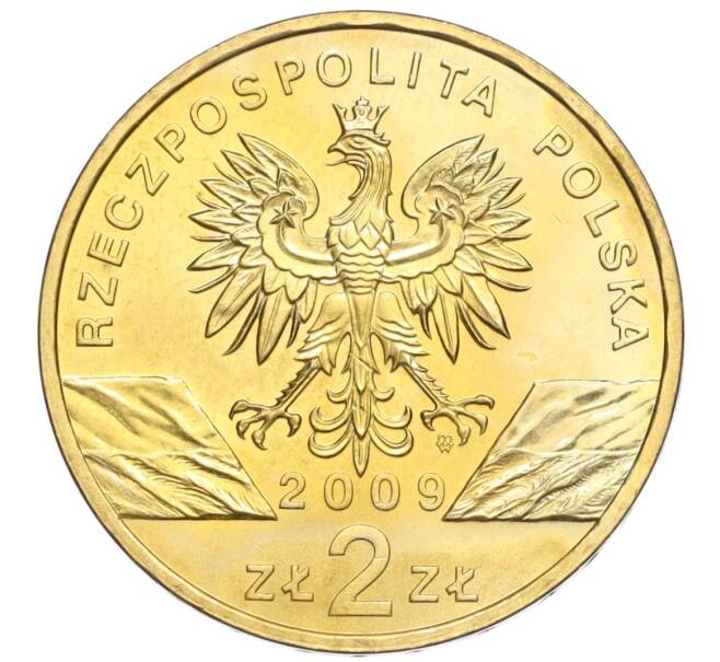 Монета 2 злотых 2009 года Польша «Всемирная природа — Зеленая ящерица» (Артикул K12-17613)