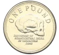 Монета 1 фунт 2005 года Гибралтар (Артикул K12-17995)