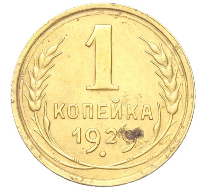 Монета 1 копейка 1929 года (Артикул K12-18116)