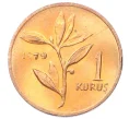 Монета 1 куруш 1979 года Турция «ФАО — Планирование семьи» (Артикул M2-74703)