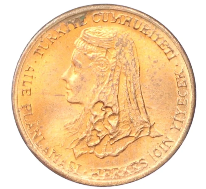 Монета 1 куруш 1979 года Турция «ФАО — Планирование семьи» (Артикул M2-74703)