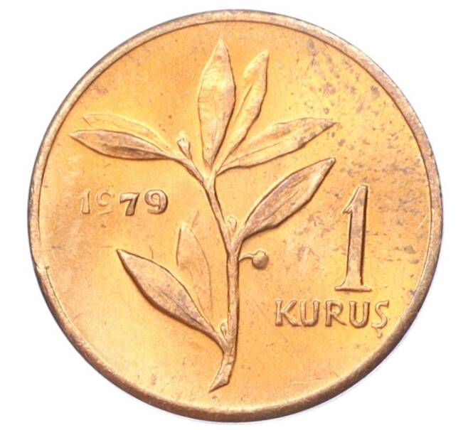 Монета 1 куруш 1979 года Турция «ФАО — Планирование семьи» (Артикул M2-74706)
