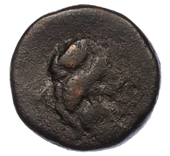 Монета Дихалк 400-200 гг. до н.э. Пантикапей (Артикул K12-19146)