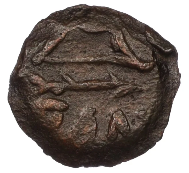Монета Халк 400-200 гг. до н.э. Пантикапей (Артикул K12-19147)