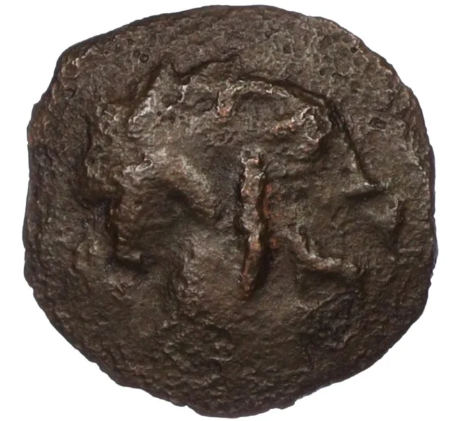 Монета Халк 400-200 гг. до н.э. Пантикапей (Артикул K12-19147)
