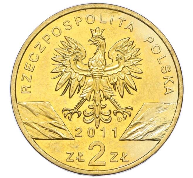 Монета 2 злотых 2011 года Польша «Всемирная природа — Барсук» (Артикул K12-19365)