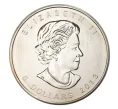 Монета 8 долларов 2013 года Канада «Полярный медведь» (Артикул M2-7266)