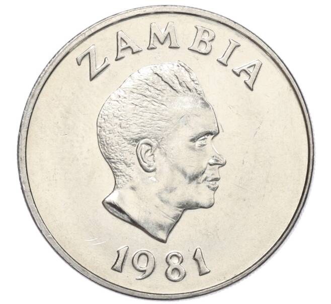 Монета 20 нгве 1981 года Замбия «ФАО» (Артикул K12-20519)