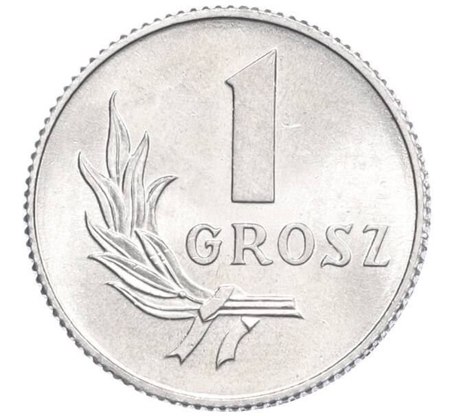 Монета 1 грош 1949 года Польша (Артикул K12-21517)