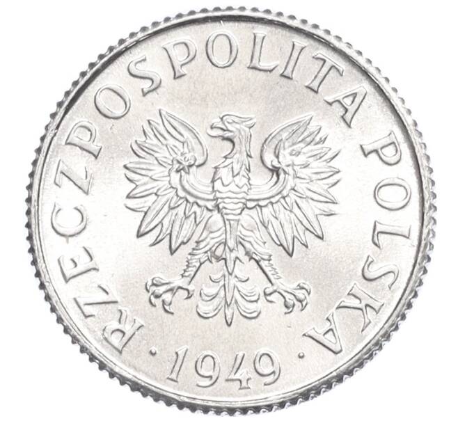 Монета 1 грош 1949 года Польша (Артикул K12-21517)