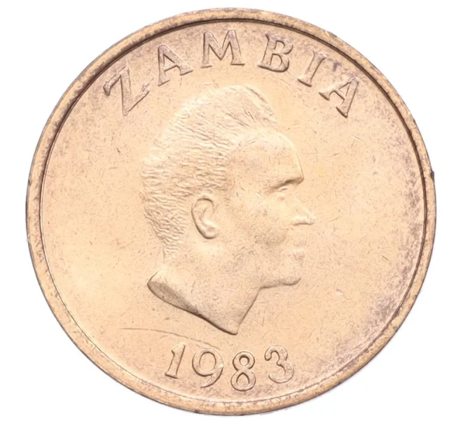 Монета 1 нгве 1983 года Замбия (Артикул K12-22004)