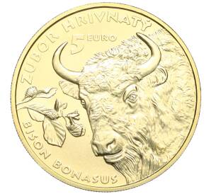 5 евро 2024 года Словакия «Зубр» — Фото №1