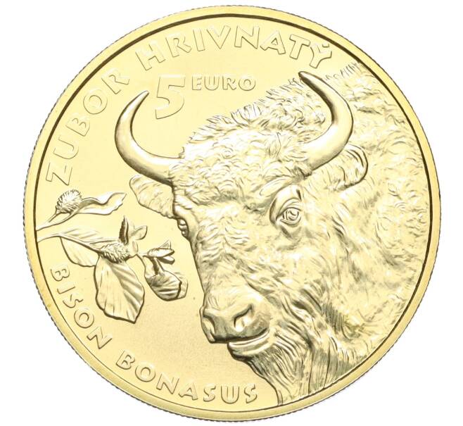 Монета 5 евро 2024 года Словакия «Зубр» (Артикул: M2-75248) — Фото №1